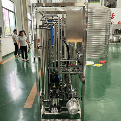 250LPH RO Sistema de purificación de agua Máquina de tratamiento de agua por ósmosis inversa industrial